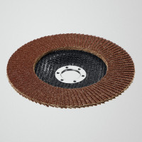 Stayer 125 х 22.2 мм, p40, клт, круг лепестковый торцевой, professional (36581-125-040)
