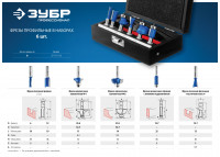 ЗУБР 6 шт, набор профильных фрез по дереву, профессионал (28795-h6)