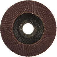 Круг лепестковый торцевой (115 мм; Р100) ПРАКТИКА 775-693