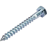 Сантехнический болт DIN 571 оцинкованный 10х80, 2шт - пакет Tech-Krep/Zitar 103883