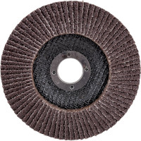 Круг лепестковый торцевой Profi 80 лепестков (125х22,2 мм; Р36) Cutop 70-12536