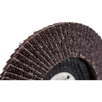 Круг лепестковый торцевой Profi 80 лепестков (125х22,2 мм; Р36) Cutop 70-12536