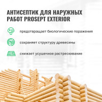 Антисептик PROSEPT EXTERIOR для наружных работ концентрат 1:19, 5 л 002-5