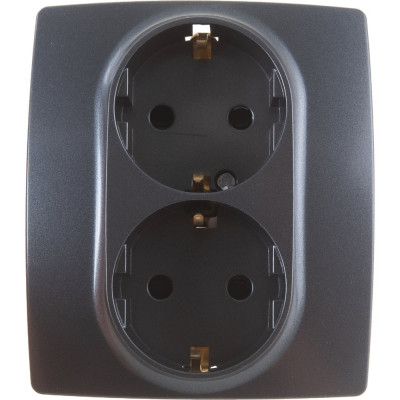Розетка ЭРА 2X2P+E Schuko со шторками 16A-250В IP20 графит Б0019331