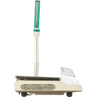 Весы CAS AP-15M 110AP0153GCI0501