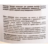 Средство для удаления высолов Syntilor Faсade 1 кг 1019