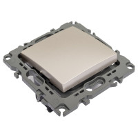 Выключатель ЭРА 12-1101-04 10АХ-250В, IP20, шампань Б0014624