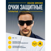 Очки защитные Delta Plus EGON SMOKE затемненные EGONGRFU