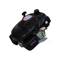 Двигатель LIFAN 1P70FV-B D22 00-00000178