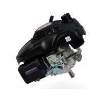 Двигатель LIFAN 1P70FV-B D22 00-00000178