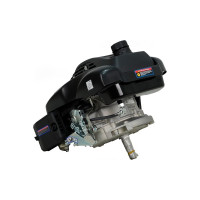 Двигатель LIFAN 1P70FV-B D22 00-00000178