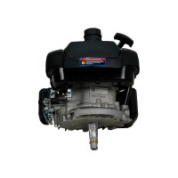 Двигатель LIFAN 1P70FV-B D22 00-00000178