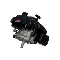 Двигатель LIFAN 1P70FV-B D22 00-00000178