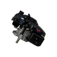 Двигатель LIFAN 1P70FV-B D22 00-00000178