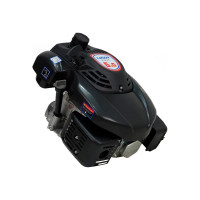 Двигатель LIFAN 1P70FV-B D22 00-00000178