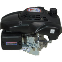 Двигатель LIFAN 1P70FV-B D22 00-00000178