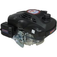 Двигатель LIFAN 1P70FV-B D22 00-00000178