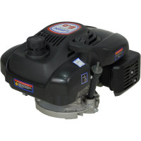 Двигатель LIFAN 1P70FV-B D22 00-00000178