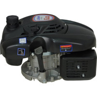 Двигатель LIFAN 1P70FV-B D22 00-00000178