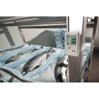 Мини-логгер данных температуры Testo 174 T 00000002436 0572 1560