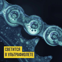 Смазка для цепей внедорожных мотоциклов 400 мл флакон - аэрозоль ВМПАВТО 8408