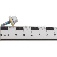 Кровельный саморез Саморезик 4,8х19 RAL9003 сигнальный белый 250шт SKRAL9003-4,8х19-250