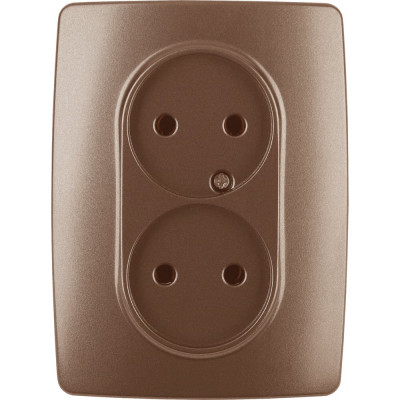 Розетка ЭРА 12-2107-14 2X2P, 16A-250В, IP20, 12, медь Б0031246