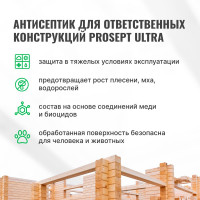 Невымываемый антисептик PROSEPT ULTRA, концентрат 1:10, 5 л 008-5