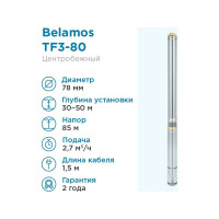 Насос БЕЛАМОС TF3 -80 TF3-80