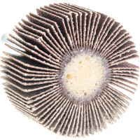 Круг лепестковый с оправкой (40х20 мм; P240) ПРАКТИКА 648-977