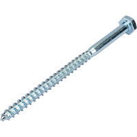 Сантехнический болт DIN 571 оцинкованный 10х160, 2шт - пакет Tech-Krep/Zitar 113139
