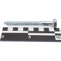 Сантехнический болт DIN 571 оцинкованный 10х100, 2шт - пакет Tech-Krep/Zitar 103885