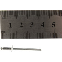 Заклепка 3.2х8, 100шт - коробка Tech-Krep 102282