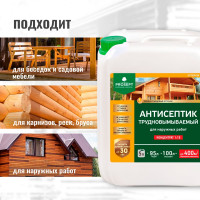 Антисептик PROSEPT EXTERIOR для наружных работ концентрат 1:19, 5 л 002-5
