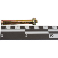 Анкерный болт с гайкой Tech-Krep 10х77 20 шт - пакет 124328