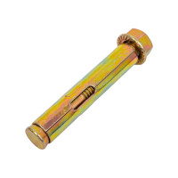 Анкерный болт с гайкой Tech-Krep 12х75 10 шт - пакет 124335