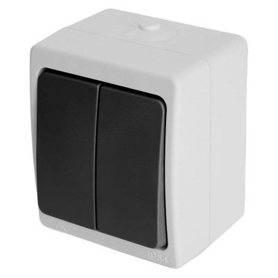 Двухклавишный выключатель STEKKER открытая установка, однополюсный для двух цепей, с общим вводом 32753