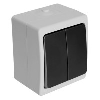 Двухклавишный выключатель STEKKER открытая установка, однополюсный для двух цепей, с общим вводом 32753