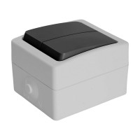 Двухклавишный выключатель STEKKER открытая установка, однополюсный для двух цепей, с общим вводом 32753