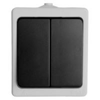 Двухклавишный выключатель STEKKER открытая установка, однополюсный для двух цепей, с общим вводом 32753