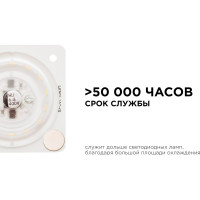 Светодиодная плата Apeyron 220В, 12Вт, прямоугольная с линзой, без пульсации, ДН 02-13