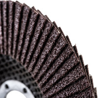 Диск лепестковый абразивный (125х22.2 мм; зерно 80) Targ 663406