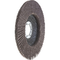 Круг лепестковый универсальный (125х22 мм,  А36, 14А) Tsunami КЛТ1 D96100000012536