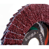 Круг лепестковый торцевой плоский КЛТ1 (115х22 мм; А 24; 14А 80/Р24) Луга 4603347275689