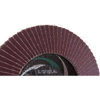 Круг лепестковый торцевой плоский КЛТ1 (125х22 мм; А220; 14А 6/Р220) Луга 4603347337912