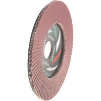 Круг лепестковый торцевой плоский КЛТ1 (125х22 мм; А220; 14А 6/Р220) Луга 4603347337912