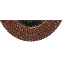 Круг лепестковый торцевой КЛТ (115х22.23 мм; P80) EDGE by PATRIOT 819010003