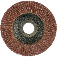 Круг лепестковый торцевой КЛТ (115х22.23 мм; P40) EDGE by PATRIOT 819010001