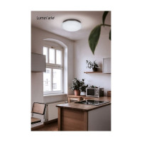 Светодиодный светильник Lumin'arte C10LLS12W