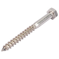 Сантехнический шуруп ЕВРОПАРТНЕР DIN 571 с шестигр.гол. 8х80 нержав. сталь 2 шт. G2 2880 2